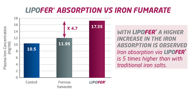 Imagen de absorción de Lipofer por S-C-Nutrition.