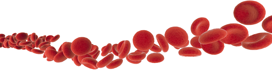 Blood cells image by S-C-Nutrition.