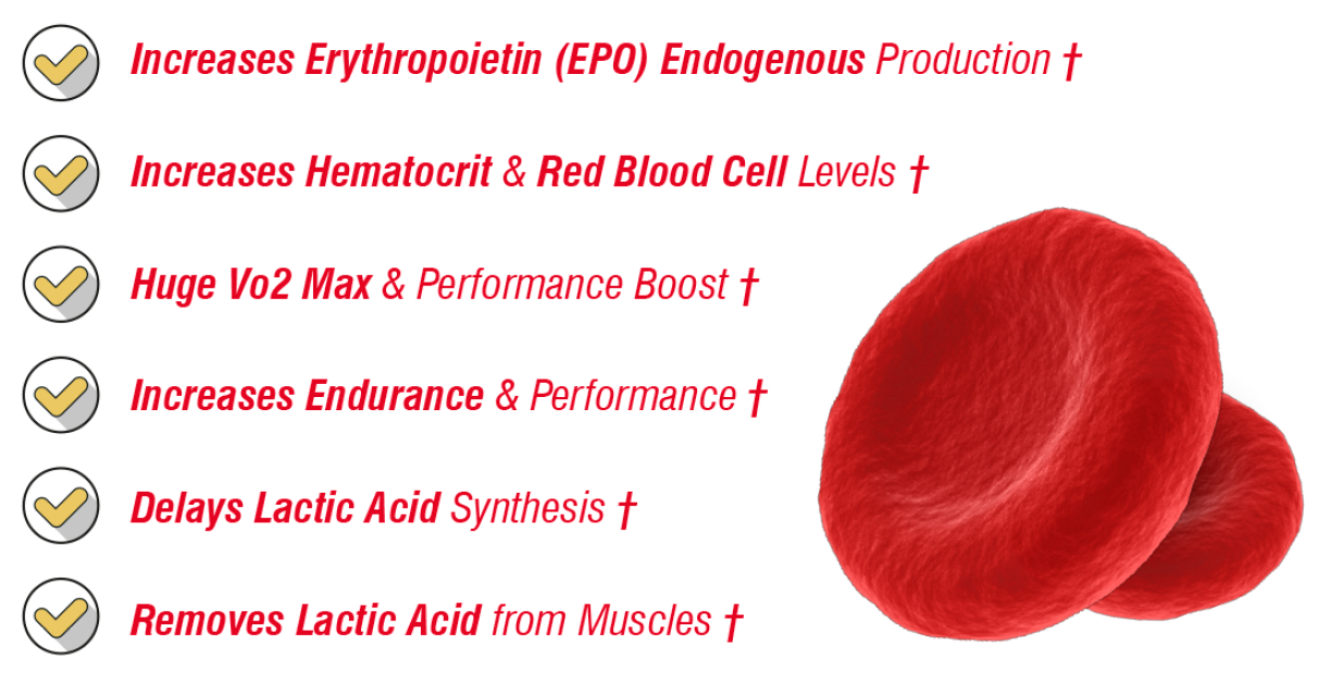 Blood petal image by S-C-Nutrition.