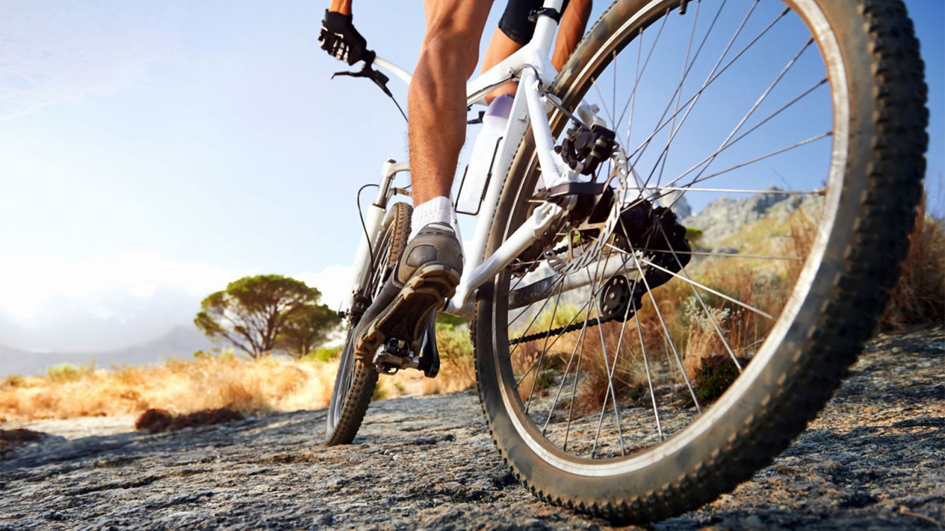 The ultimate guide to outdoor cycling for weight loss