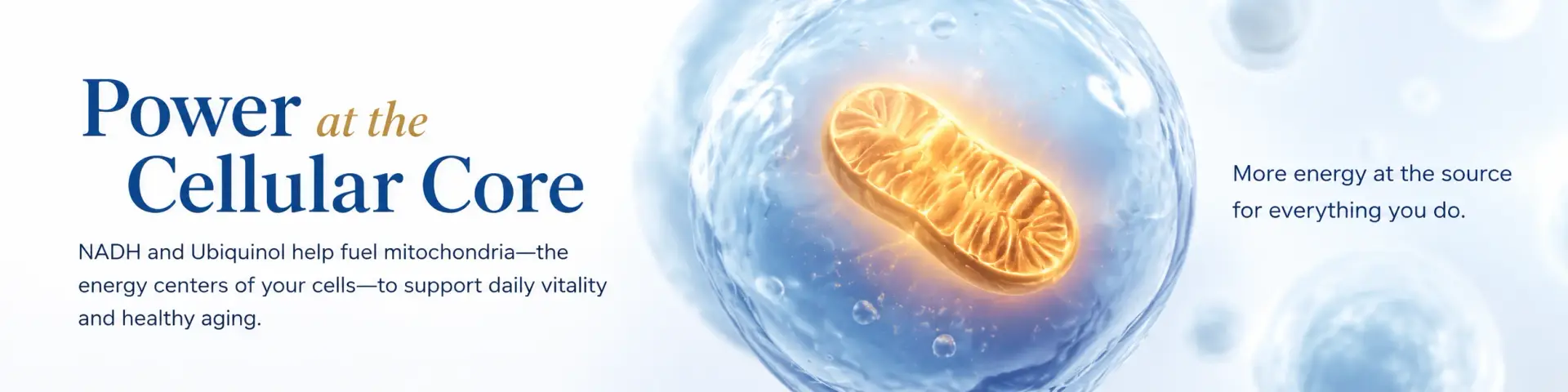 Mitochondria powering cellular energy production.