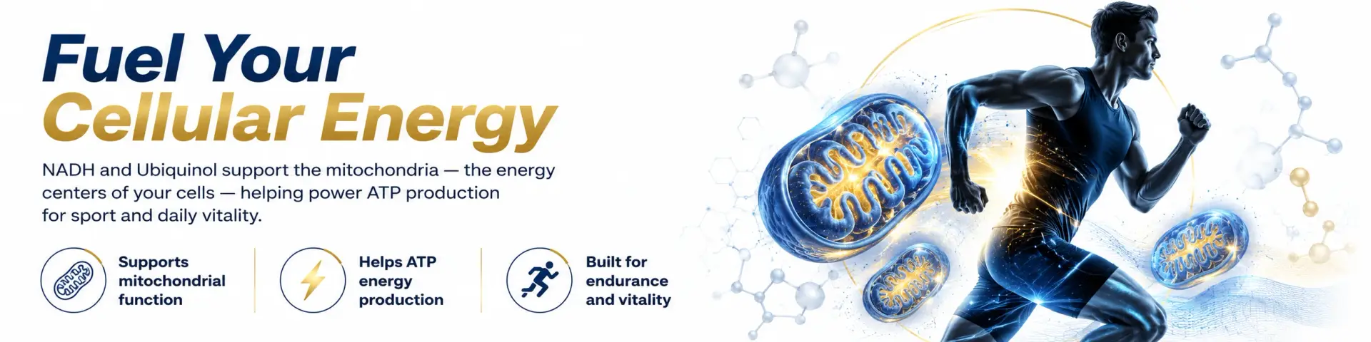 Mitochondrial Activator¹⁴ – Mitochondria & Cellular Energy Formula 2 Promoting cellular energy for vitality.