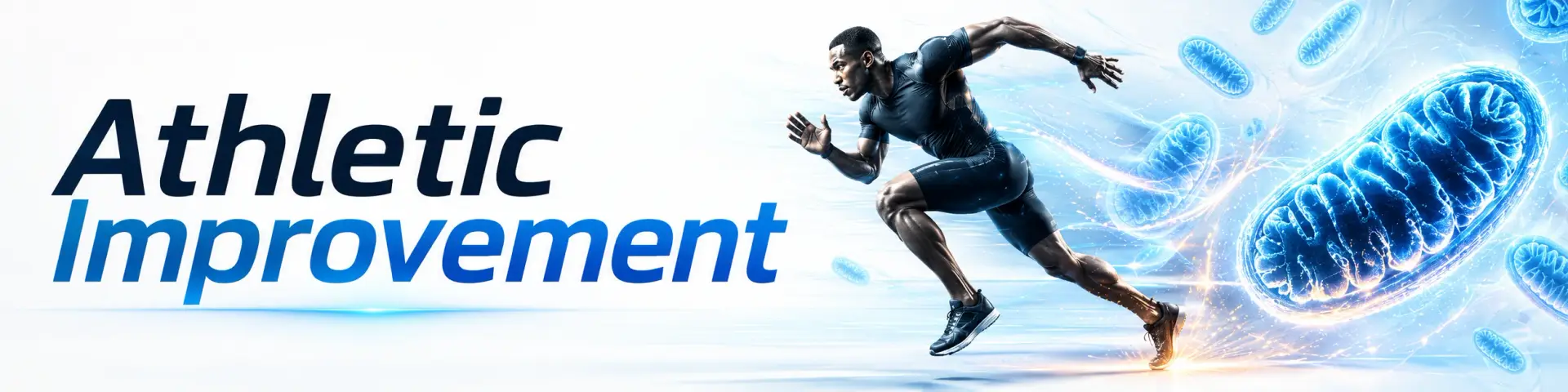 mitochondrial sport banner